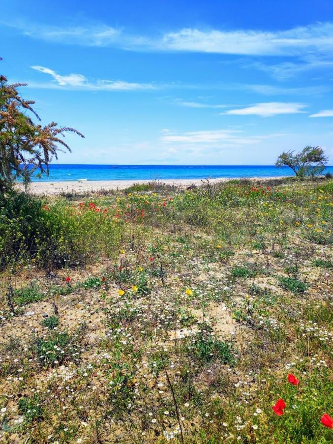 Seaside Family Apartment In Paralia Dionisiou Eksteriør bilde